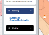 Summary View by County or Municipality